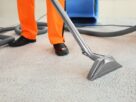 Professional carpet cleaning