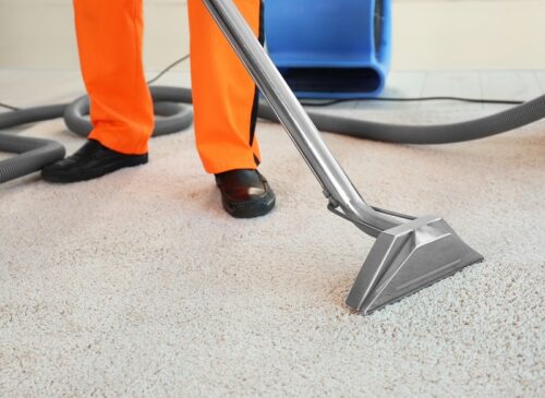 Professional carpet cleaning