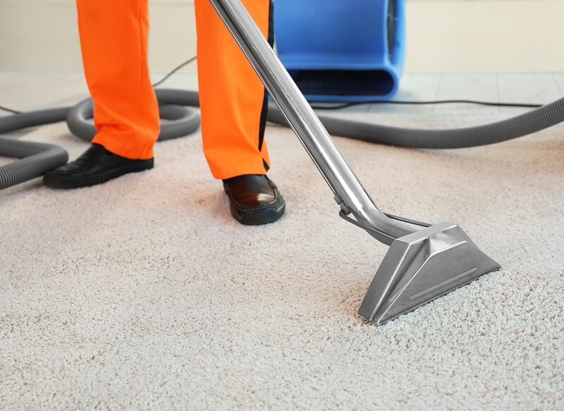 Professional carpet cleaning